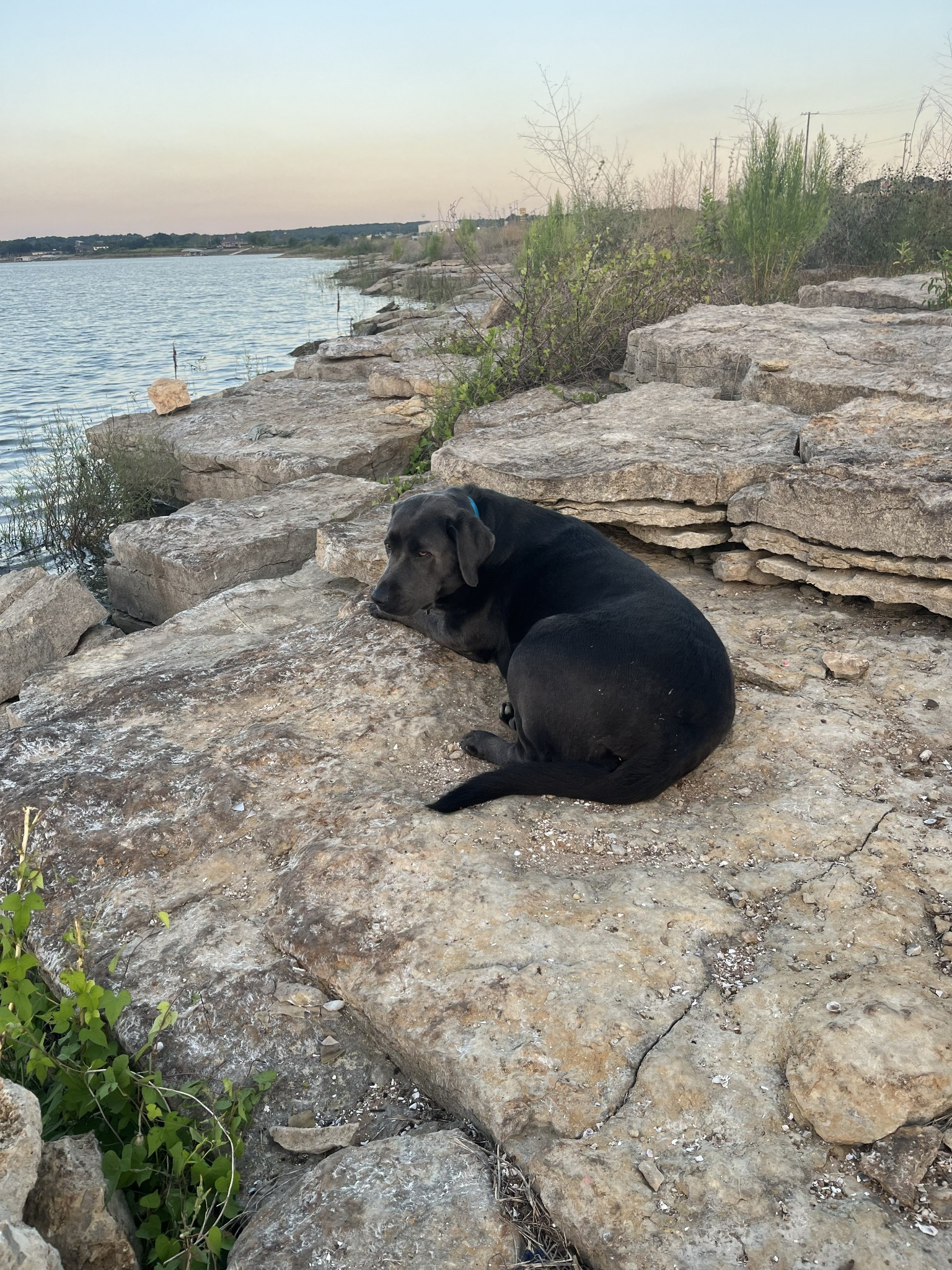 Belle by the water