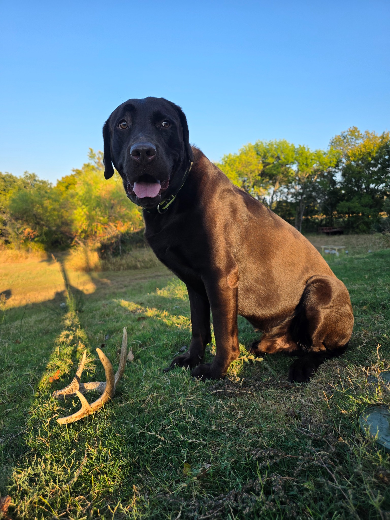Remi